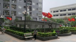 Nuôi chó mèo phóng uế bừa bãi: Nỗi ám ảnh của cư dân chung cư