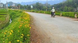 Nỗ lực bảo vệ môi trường nông thôn, một huyện của tỉnh Sơn La đang là điểm đến hút chân du khách