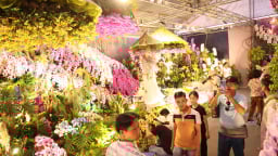 Hàng chục ngàn cành hoa lan phủ màu rực rỡ tại công viên ở TP.HCM, người dân ùn ùn rủ nhau tới chụp ảnh, quay phim
