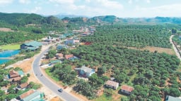 Sơn La đưa cây ăn quả lên đất dốc, nông dân ngày càng no ấm
