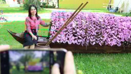 Cuối tuần, người dân TP HCM lên đồ đi ngắm hàng nghìn tác phẩm hoa lan đọ sắc