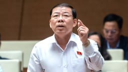 Đại biểu Quốc hội: Nếu bỏ hình phạt tử hình có thu hồi được tài sản vụ án Trương Mỹ Lan?