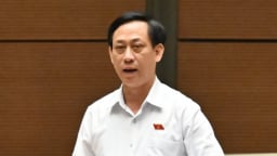 Đại biểu Quốc hội lo lắng một cuộc thanh tra kéo dài 120 ngày sẽ ảnh hưởng cơ quan, doanh nghiệp