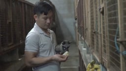 'Hotboy Quảng Bình' nuôi con vật hoang dã gì mà cứ 'ngủ ngày cày đêm', hễ bán là ra ngay 'con đặc sản'?