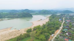 Nghệ An: Phạt Công ty Khai thác cát sạn vận tải Thanh Chương 249 triệu đồng, đình chỉ hoạt động