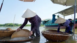 Làng cổ bên sông La ở Hà Tĩnh có nghề xúc hến, chế biến hến đã 300 tuổi, dân giảm nghèo, có hộ khá giả hẳn lên