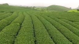 Tận dụng lợi thế, phát triển du lịch, thúc đẩy kinh tế vùng đồng bào dân tộc thiểu số