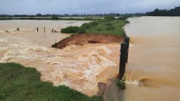 NÓNG: Vỡ đê đập Hà xây từ năm 1986 ở Hà Tĩnh, nhiều diện tích hoa màu ngập sâu
