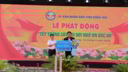 C.P. Việt Nam được tuyên dương vì những đóng góp về môi trường và phục hồi rừng tại Đồng Nai, Bến Tre