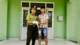 Một con động vật hoang dã là chim săn mồi, đẹp dũng mãnh, vừa được giao nộp cho kiểm lâm ở Huế