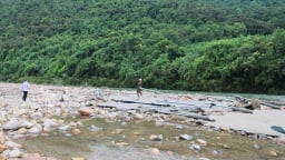 Hàng chục hàng quán, 7 con bò của người dân ở Huế bị cuốn trôi do mưa lớn 