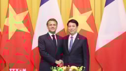 Chủ tịch nước Lương Cường hội đàm với Tổng thống Pháp Emmanuel Macron