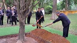 Tổng thống Pháp thăm nhà sàn Bác Hồ, trồng cây lưu niệm trong khu di tích