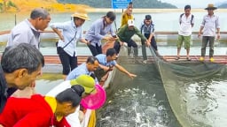 Trao “cần câu” thay cho “con cá”, Quỹ Hỗ trợ nông dân giúp người dân vùng cao Điện Biên đổi đời