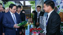 Khai thác “mỏ vàng” sản phẩm OCOP ở nông thôn - Bài 1: Gắn sao lên đời, vươn ra thế giới
