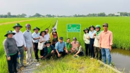 Chuyên gia: Nông nghiệp bền vững không thể có một ông nông dân trồng hai thửa ruộng, một để ăn, một để bán