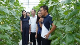 Nông dân Bắc Ninh sản xuất kinh doanh giỏi, xây dựng nông thôn mới, làng quê văn minh, nơi đáng sống 