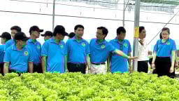 HTX trồng rau thủy canh có tiếng ở TP HCM “thoát nguy” nhờ Quỹ Hỗ trợ nông dân 'tiếp sức'