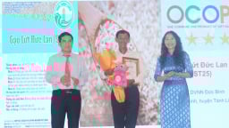 Trước giờ sáp nhập, tỉnh Bình Thuận trao chứng nhận OCOP 4 sao năm 2024 cho 7 sản phẩm
