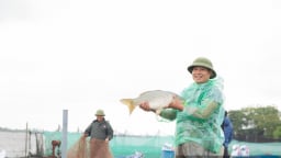Từ chính sách đến hành động trong chương trình giảm nghèo bền vững tại Nam Định