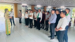 Phát lộ la liệt di vật, hiện vật cổ khi đào khai quật dưới lòng đất ở vùng nông thôn Thanh Hóa