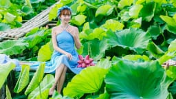 Giới trẻ chi tiền triệu thuê thợ chụp ảnh check-in hoa sen nở sớm ở Hà Nội