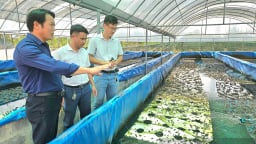 Hợp tác xã nông nghiệp mở lối sinh kế cho nông dân ở Quảng Bình
