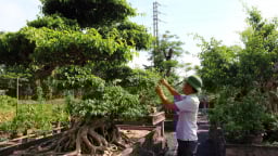 Hà Nội: Thường Tín về đích nông thôn mới nâng cao, thành quả từ sự đồng lòng và tầm nhìn chiến lược