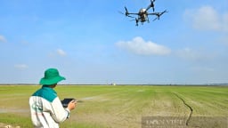 Giảm nghèo ở Quảng Bình: Nông dân ứng dụng công nghệ vào sản xuất lúa, cánh đồng xanh tốt, cuối vụ bội thu
