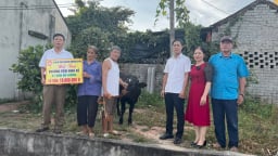 Chăn nuôi bò sinh sản: Hướng đi mới trong công cuộc giảm nghèo bền vững ở xã Ngọc Lý