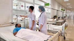 7 người ngộ độc sau khi ăn nấm hái trong rẫy ở Đắk Lắk