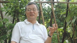 Nhạc sĩ, nhà nghiên cứu âm nhạc Đặng Hoành Loan qua đời