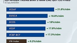 Quỹ mở nào đang làm túi nhà đầu tư nặng thêm?