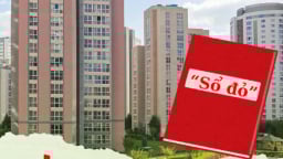 Từ năm 2025, sổ đỏ đứng tên tối đa bao nhiêu người?