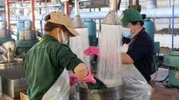 Chính sách nào giúp kinh tế Tây Ninh ghi nhận hàng loạt tín hiệu khởi sắc, xuất khẩu tăng tốc, thu ngân sách đạt 50% kế hoạch?