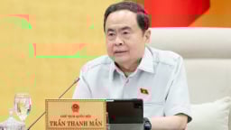 Chủ tịch Quốc hội: Phải giám sát, kiểm tra không để cấp tỉnh muốn làm gì thì làm mà Trung ương không biết trong điều chỉnh quy hoạch