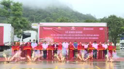 Thương hiệu mận hậu Sơn La 'cất cánh' cùng Vietnam Airlines 