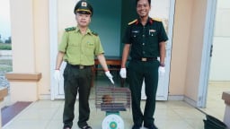 Con động vật hoang dã hiền như cục đất đi lạc vào tận doanh trại, một sĩ quan quân đội ở Huế đem giao nộp kiểm lâm