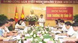 Trước ngày sáp nhập tỉnh Nam Định, Ninh Bình, ở Hà Nam, BTV Tỉnh ủy cho chủ trương về một số vấn đề quan trọng, trong đó có dự án một khu dân cư nông thôn