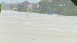 Mưa lớn do ảnh hưởng bão số 1, gần 13.000ha lúa ở Huế bị nhấn chìm, nhiều tuyến đường sạt lở 