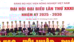 Đảng bộ Học viện Nông nghiệp Việt Nam tổ chức Đại hội lần thứ XXXI, nhiệm kỳ 2025 - 2030: Đưa ra nhiều chỉ tiêu quan trọng 