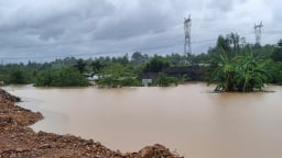 Nhiều khu vực tại Đà Nẵng còn chìm trong biển nước, hoa màu thiệt hại nặng nề