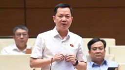 Đại biểu Quốc hội đề nghị giám sát chặt vấn đề hàng giả, hàng nhái, hoá đơn tính thuế