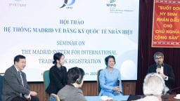  Đại diện Sao Thái Dương được WIPO lựa chọn phát biểu tại Hội thảo Quốc tế về phát triển thương hiệu toàn cầu