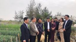 Nông dân Hải Dương thi đua sản xuất, kinh doanh giỏi tạo đòn bẩy lan tỏa cách làm giàu