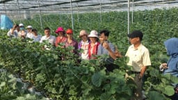 Hải Dương: Sáp nhập Quỹ Hỗ trợ Nông dân cấp huyện vào Quỹ cấp tỉnh để nâng cao hiệu quả hoạt động