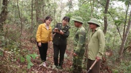 Điện Biên: Hàng ngàn chủ rừng được hỗ trợ tiếp cận với dịch vụ ngân hàng, hướng tới mục tiêu chi trả tiền dịch vụ môi trường rừng minh bạch và hiệu quả