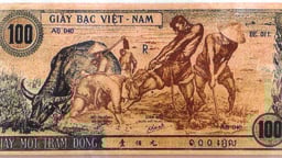 Họa sĩ nào vẽ “con trâu xanh” trên tiền Việt Nam Dân chủ cộng hòa?