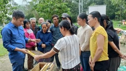 Nông dân Hà Tĩnh làm giàu thu nhập tốt nhờ nghề nuôi loài côn trùng chăm chỉ này