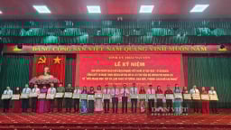 Thái Nguyên khen thưởng 74 tập thể, cá nhân tại lễ kỷ niệm 100 năm ngày Báo chí cách mạng Việt Nam